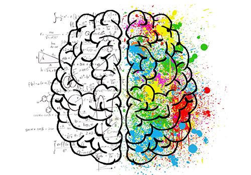 Willpower, emotional brain, thinking brain, logical brain, creative brain, cognitive vs emotional brain